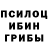 Псилоцибиновые грибы мухоморы Jane Kaishaury