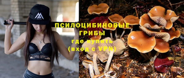 винт Новозыбков