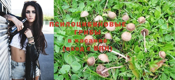 эйфоретик Новодвинск