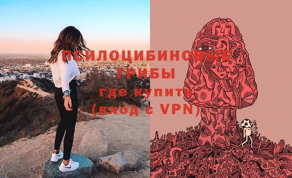 эйфоретик Новодвинск