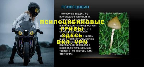 эйфоретик Новодвинск