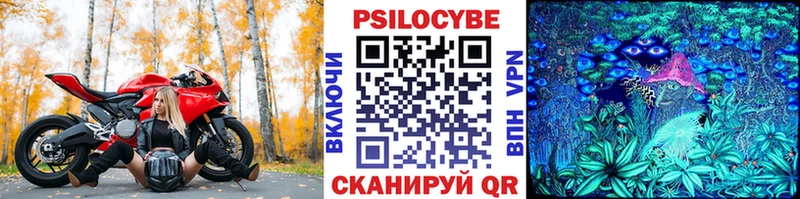 где можно купить наркотик  Чухлома  Галлюциногенные грибы Psilocybe 